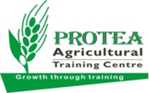 PROTEA LOGO