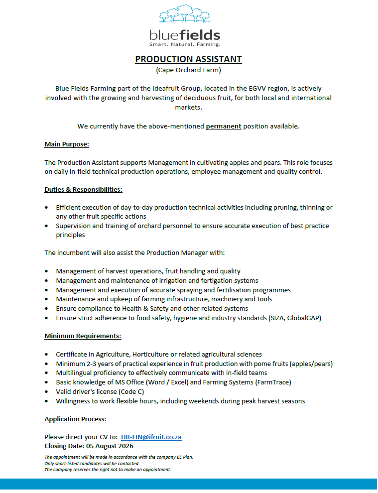 PRODUCTION ASSISTANT BLUEFIELDS